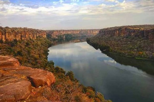 Darrah Wildlife Sanctuary